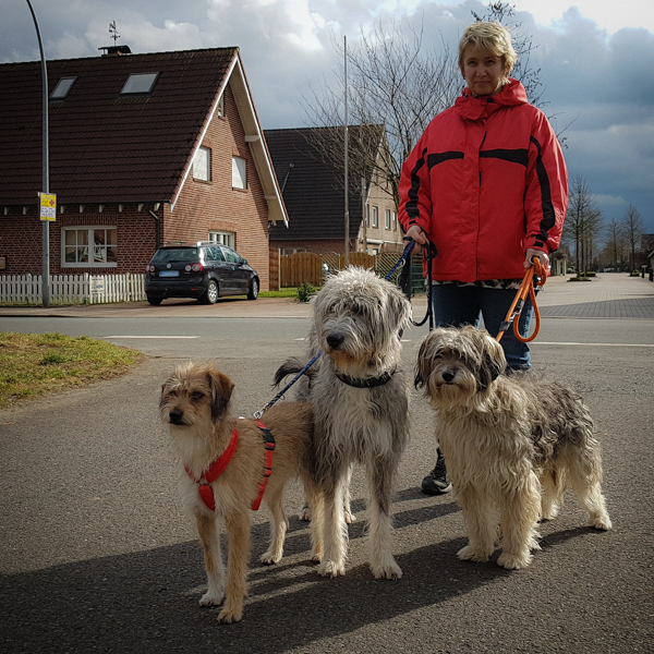 Andrea mit ihren drei Hunden